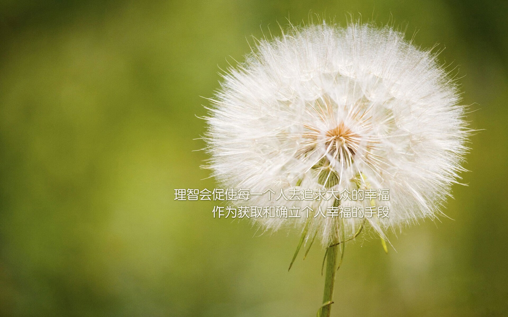 《CS_GO》赛事对硬件产业的促进：高端显卡与外设的需求，csgo比赛用的什么显示器