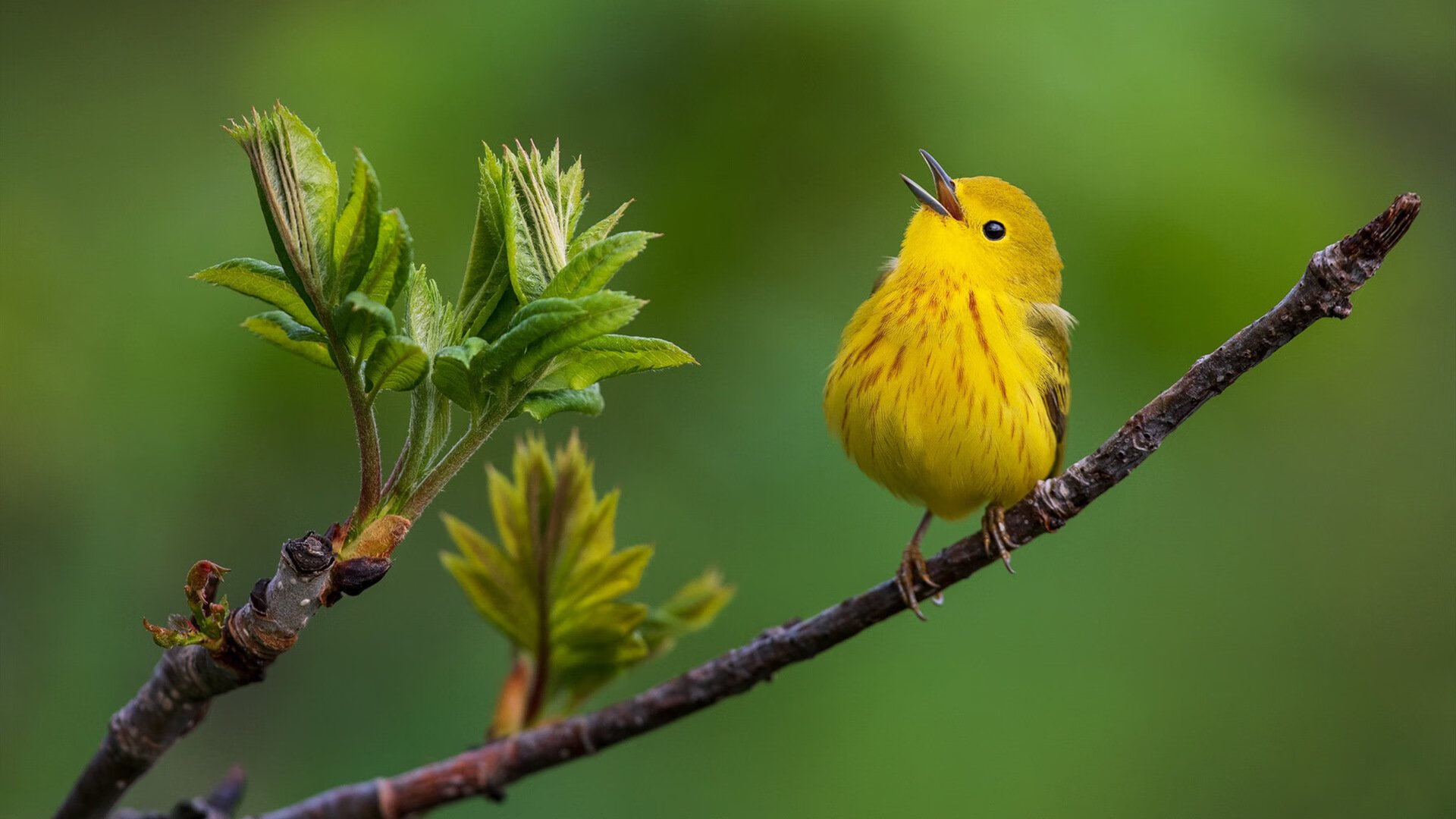 爱游戏平台-_新赛季展望：选手目标与期待热度升高_，新赛季rw队员
