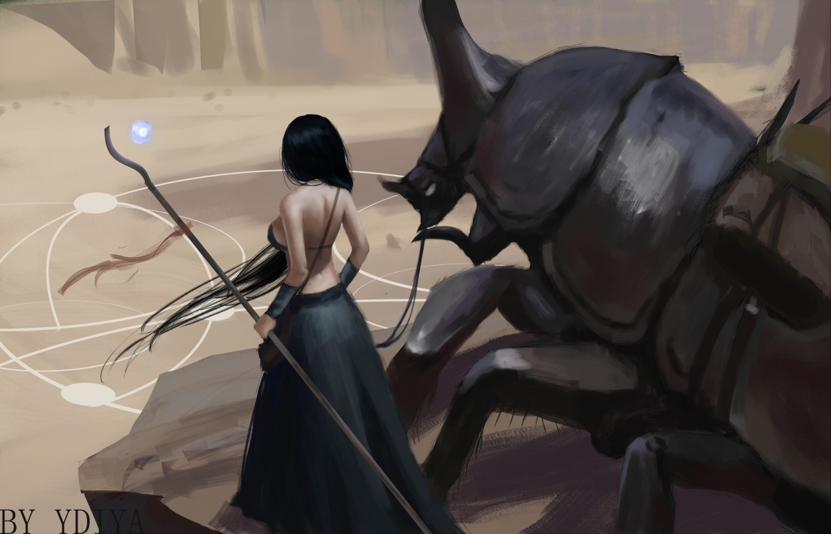 _桥牌世界系列赛：智力对决引爆精彩_，桥牌比赛现场