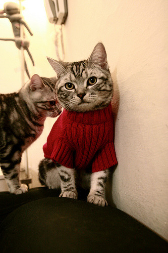 爱游戏娱乐-_网球装备革新：轻质材料带来运动新体验_，超轻网球拍