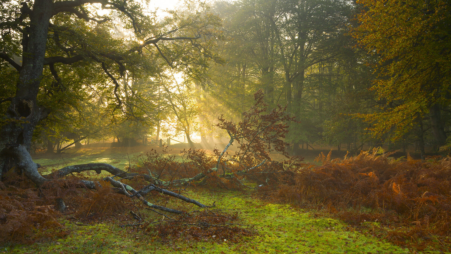 中国足球行业标准体系建设取得阶段性成果，行业迎来新规范，中国足球制度