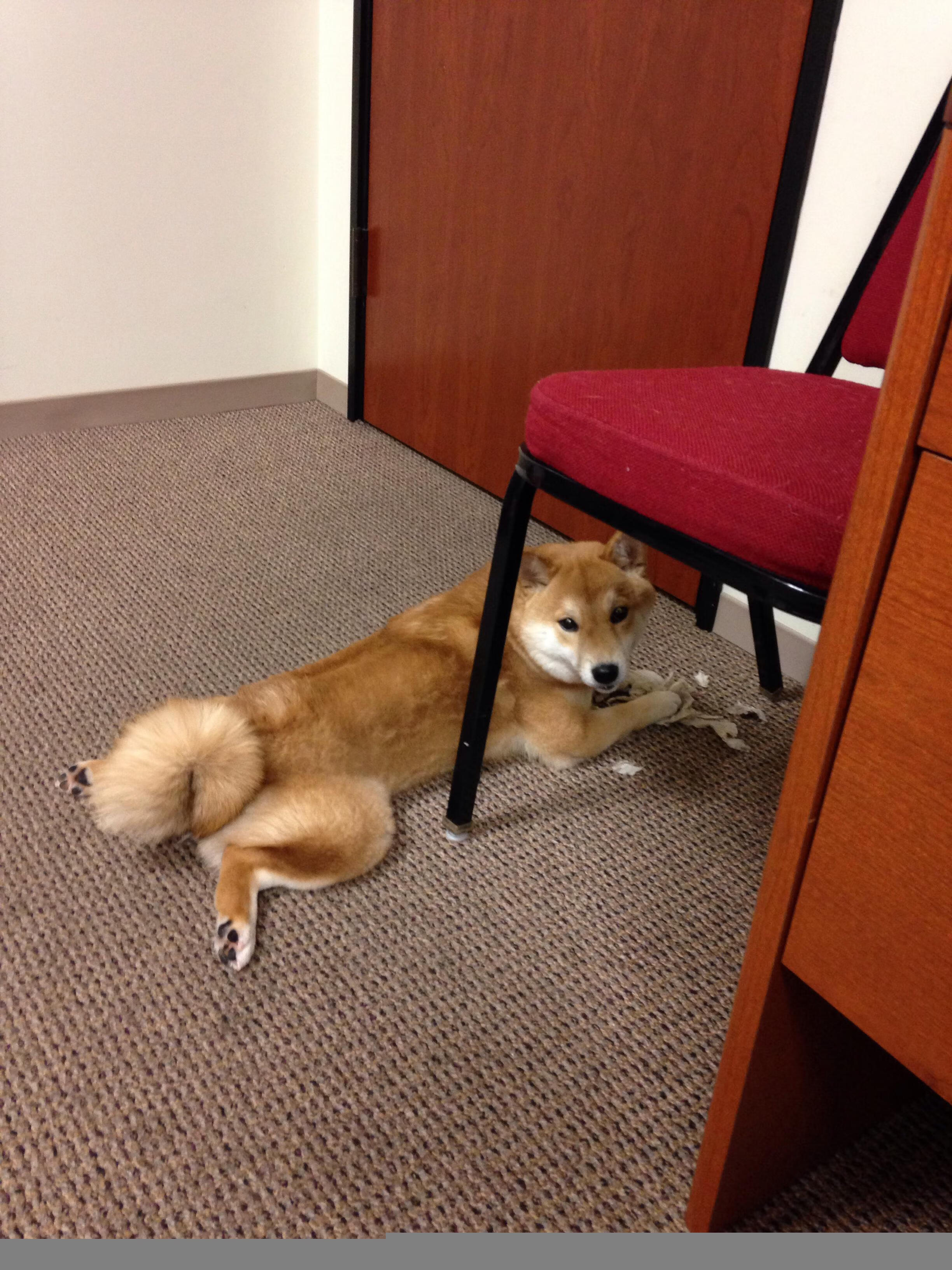 爱游戏官方-“燃烧的激情”——车迷现场的狂热与激情，激情燃烧啥意思