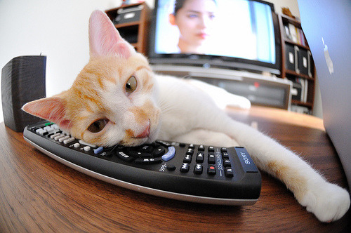 史上最大距离三分！库里在火箭比赛中命中远投纪录，库里投过最远的三分