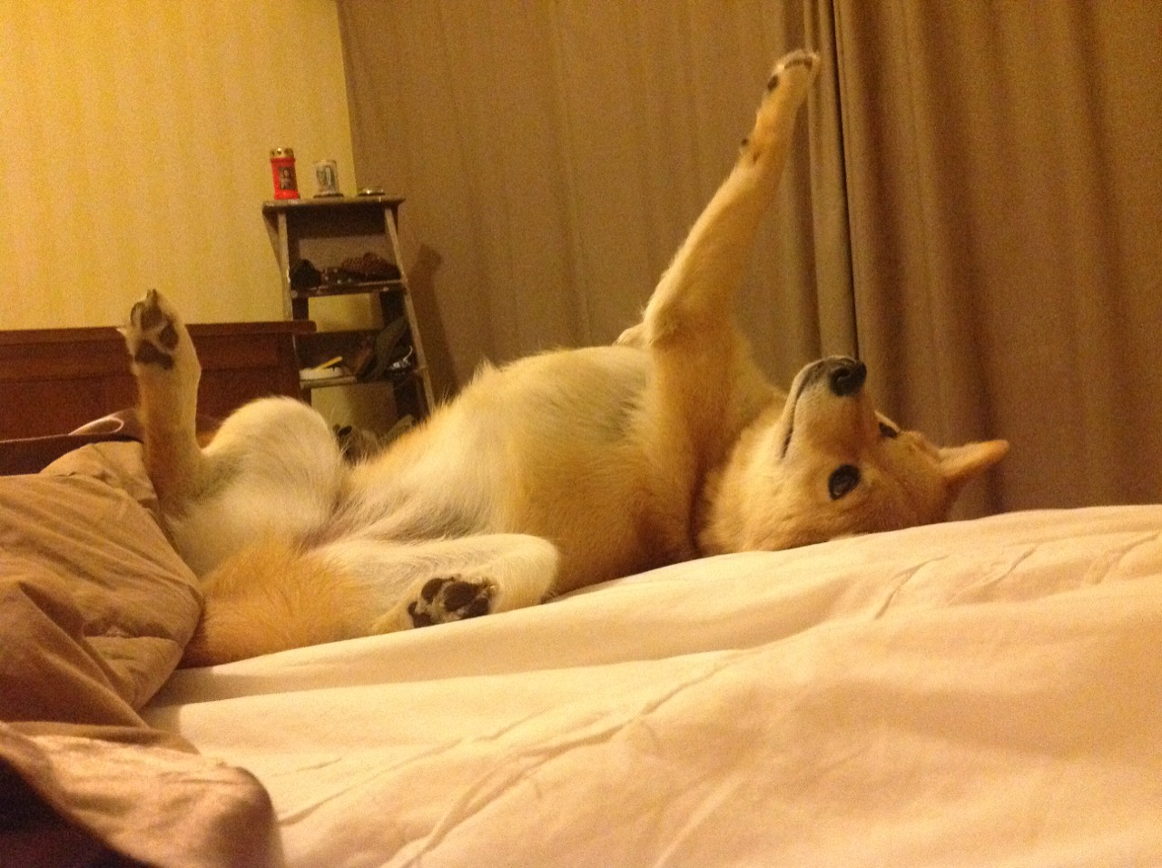 中国女足在国际赛场奋勇拼搏,展现青春风采,女足国足