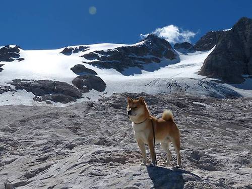 爱游戏app-国际山地自行车极限赛，穿越山野挑战自我，世界山地自行车比赛