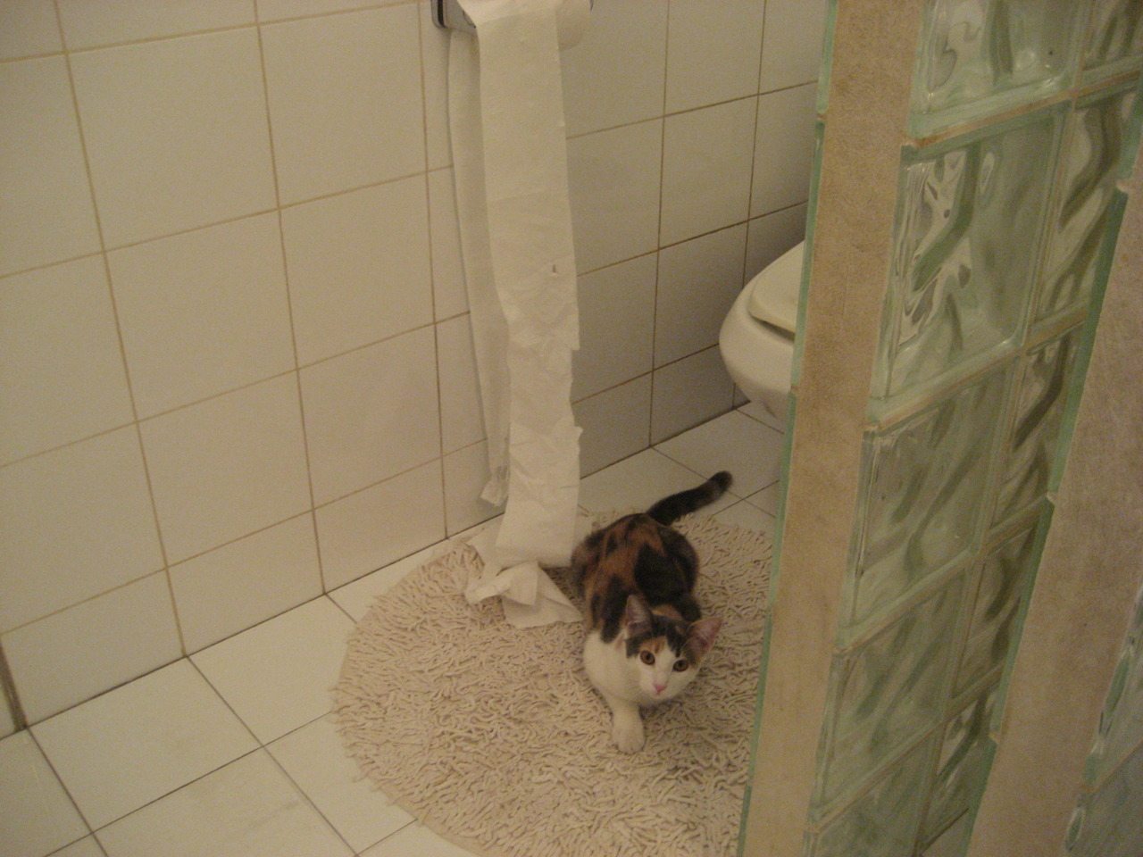 德国女子70公斤级柔道选手米里亚姆·布特克雷特获得银牌,法国柔道冠军泰德 里内