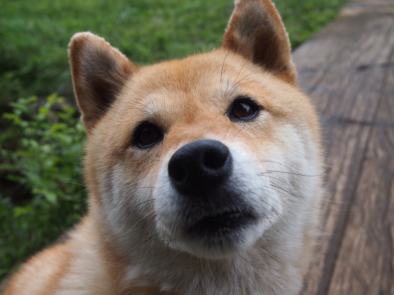 法甲官方宣布多场精彩赛事安排,法甲一般比赛时间