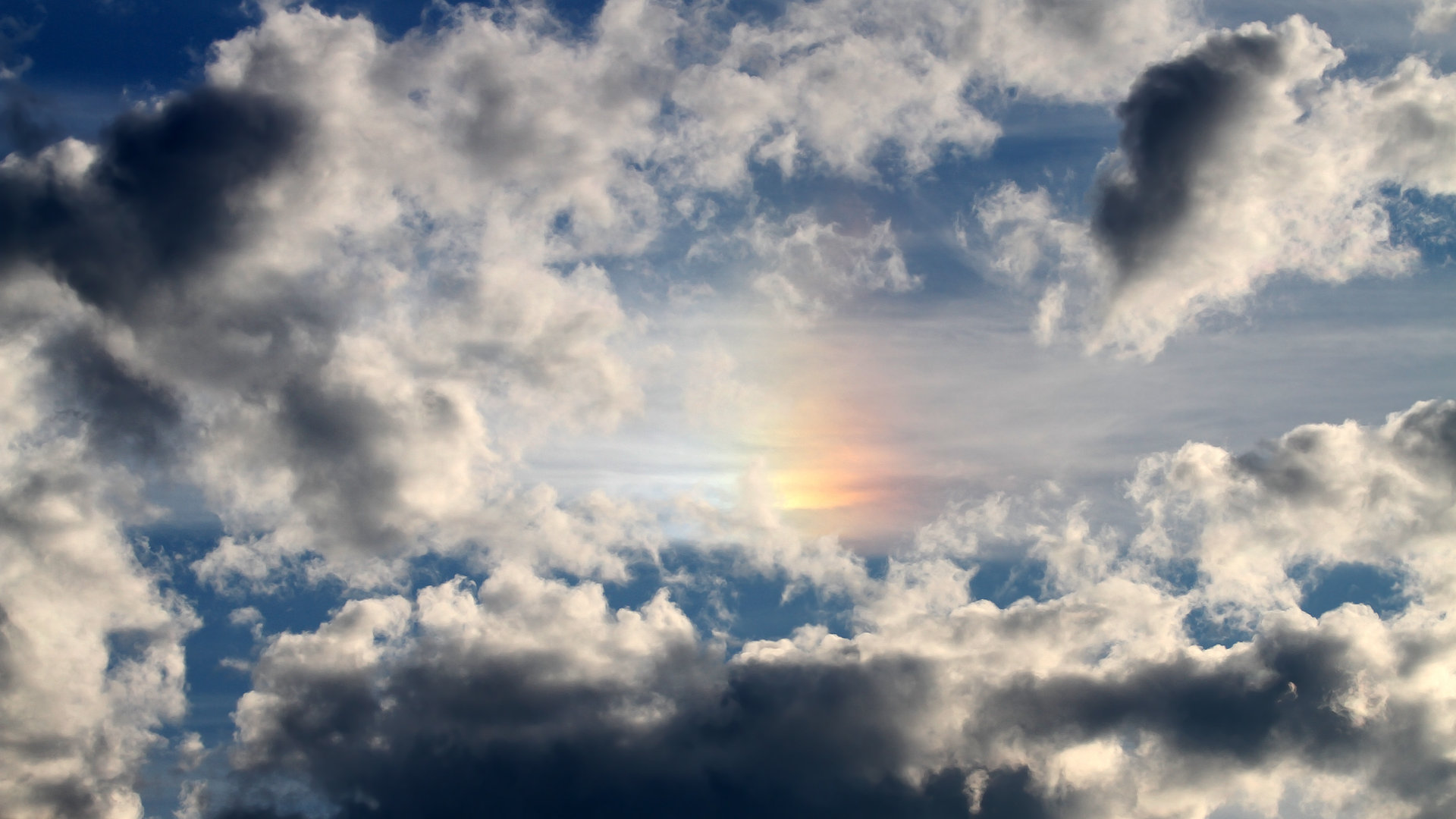 特色青训营地获多项国家专利，行业创新能力持续增强，青训营是什么