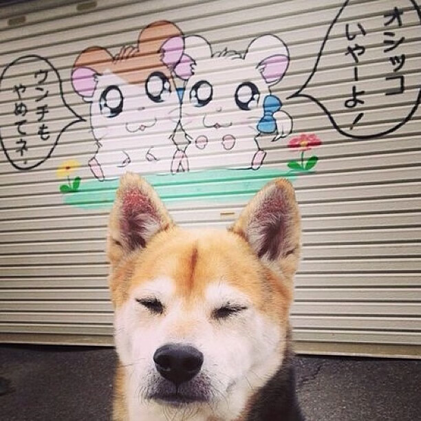 中国篮球运动员职业道德，篮球运动员的基本素质