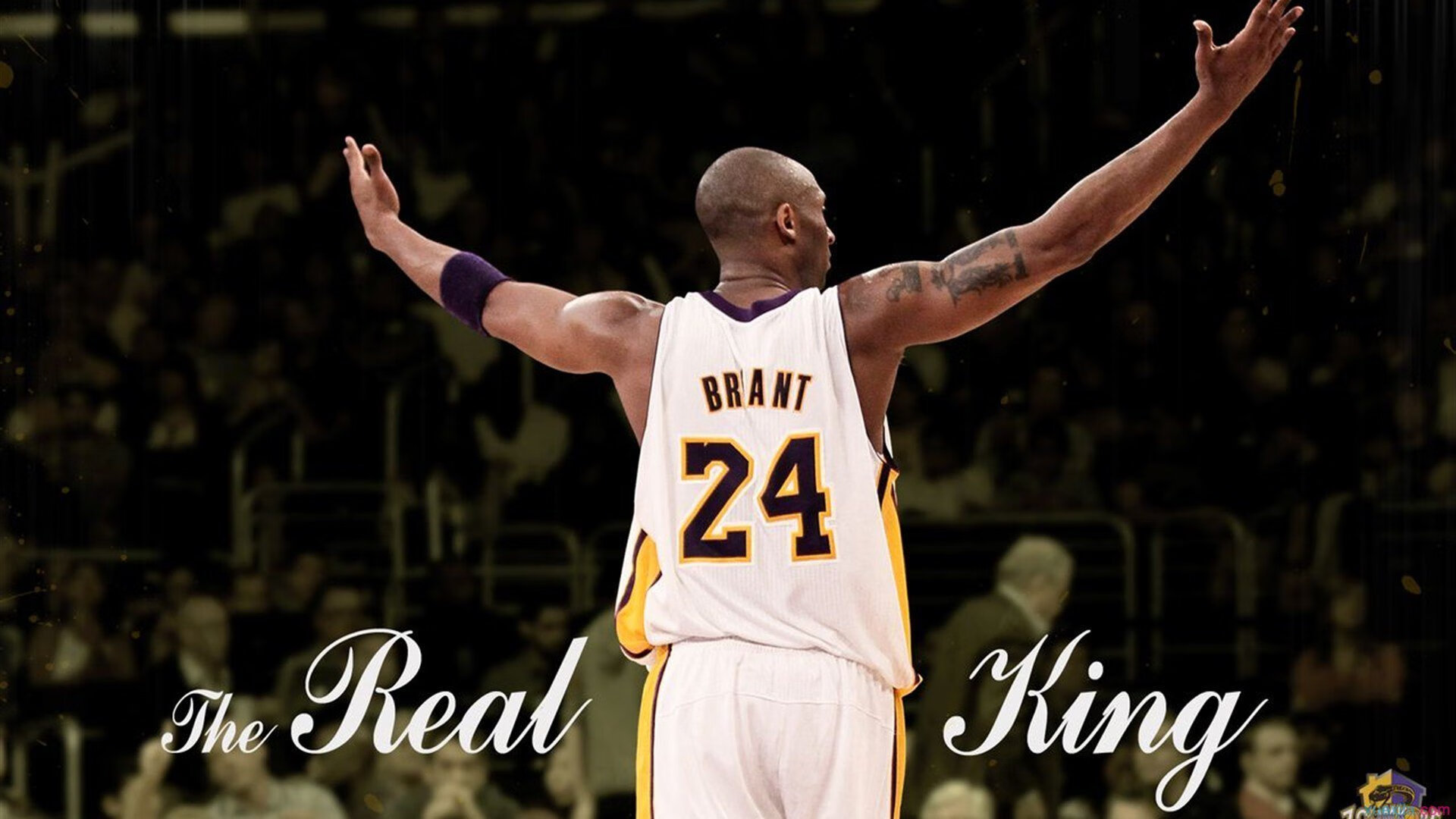 那些年我们追过的赛事：感动与激情的交织，感动的比赛