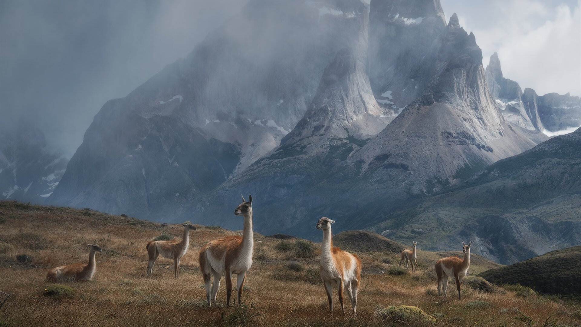 青少年篮球“未来新星”专项培养项目正式启动，未来星篮球培训