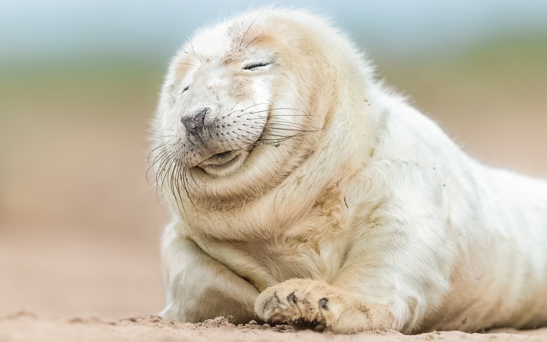 爱游戏体育官方网站-LCK奖金分配机制调整，lck联赛奖杯