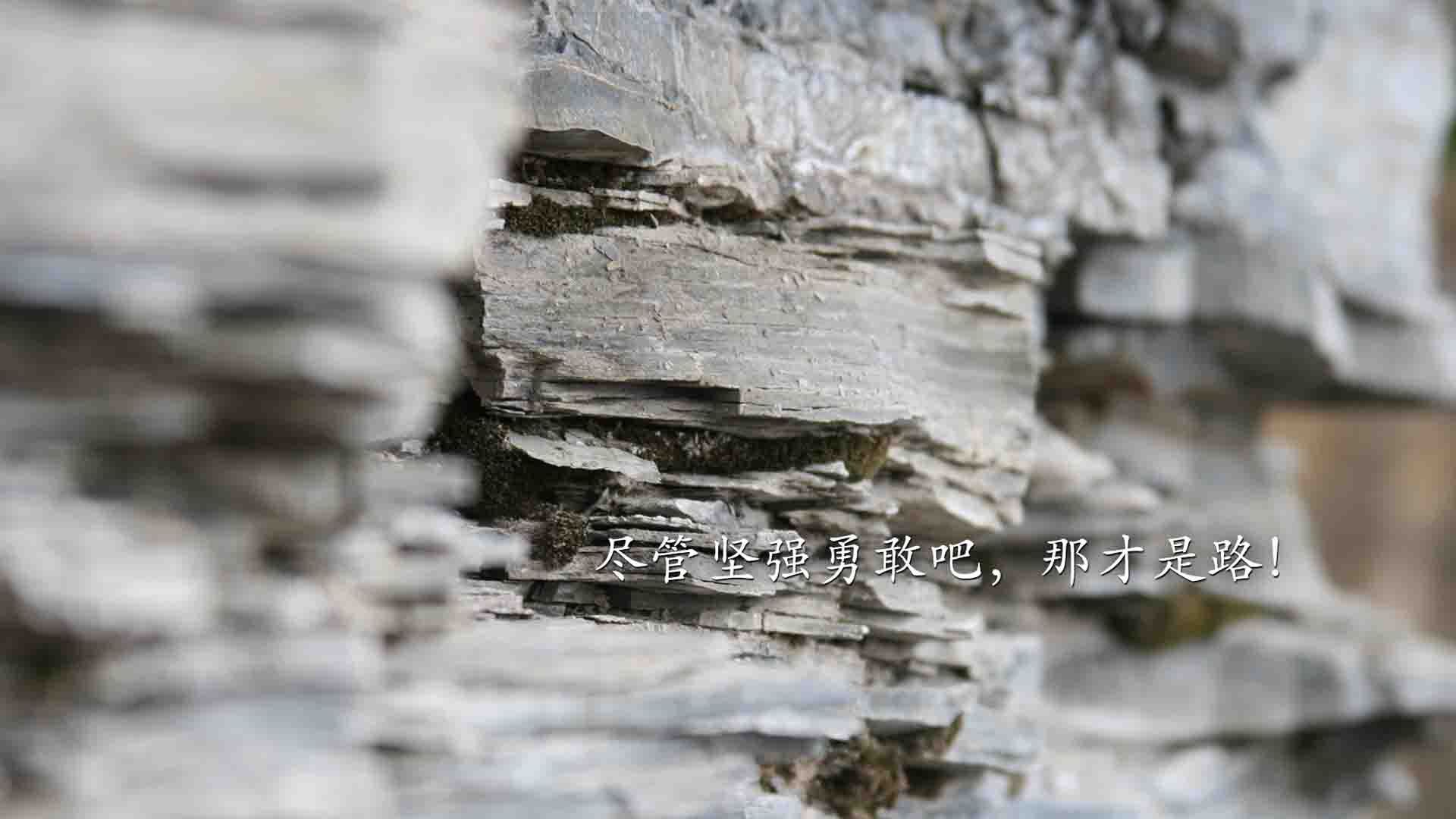 摩纳哥悲惨失利，球队现在岌岌可危，摩纳哥ds