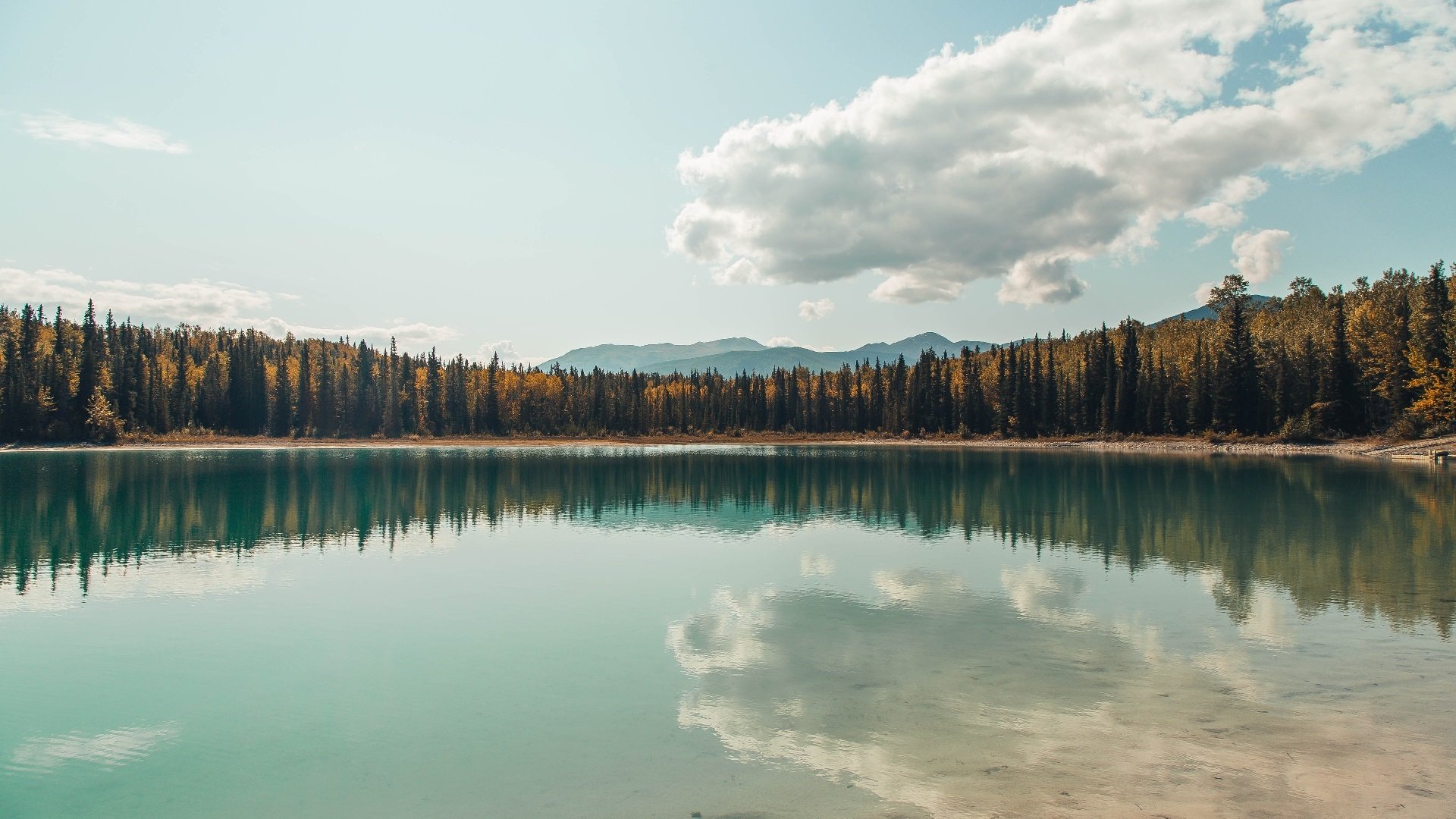 世界击剑锦标赛中国女重团体摘金,决赛击败法国,击剑世锦赛2020