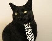 中国田径大奖赛谢震业、葛曼棋双双夺冠，全国田径锦标赛谢震业