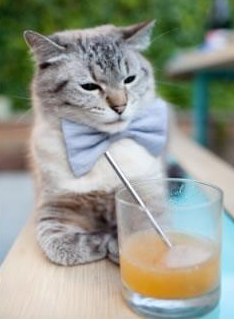 爱游戏登录入口-乌拉圭男足在巴黎奥运会比赛中以4-0战胜美国，乌拉圭足球奥运会