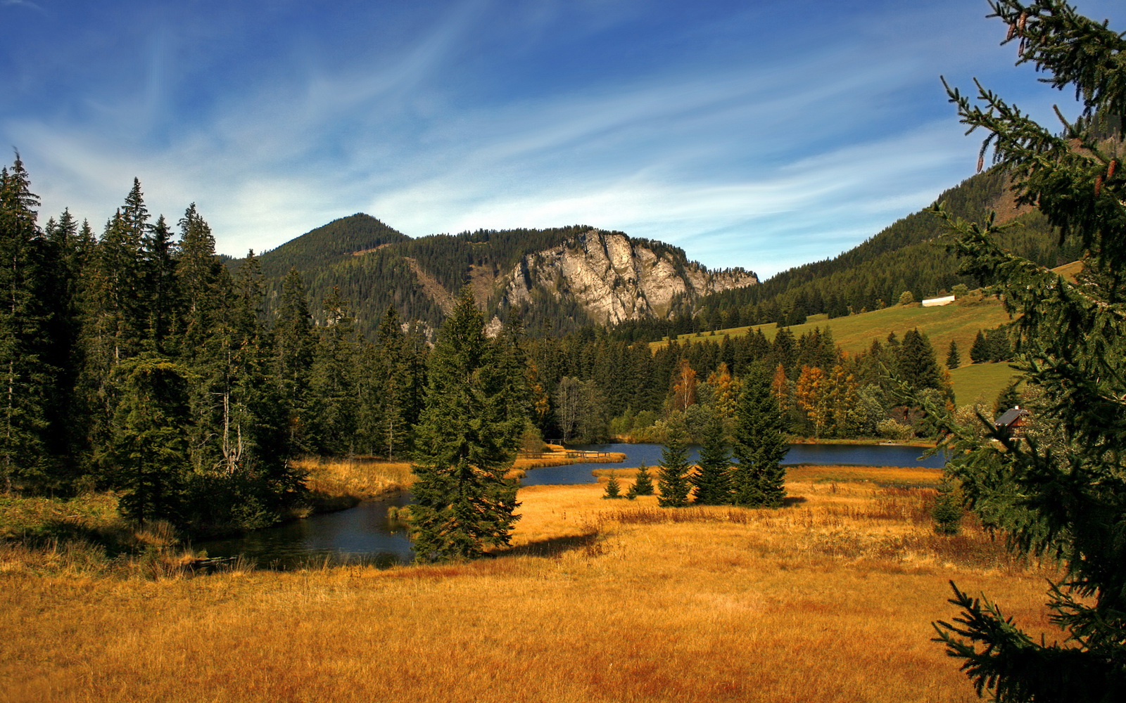 爱游戏登录入口-猛龙灰熊对决，实力碰撞角逐最后胜利，灰熊vs猛龙2021