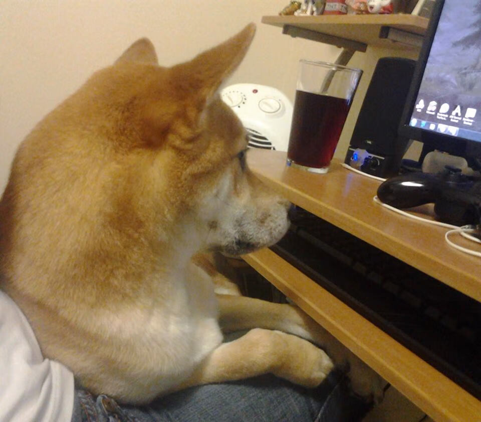 南安普顿客场逼平阿斯顿维拉，保持不败，arwu南安普顿