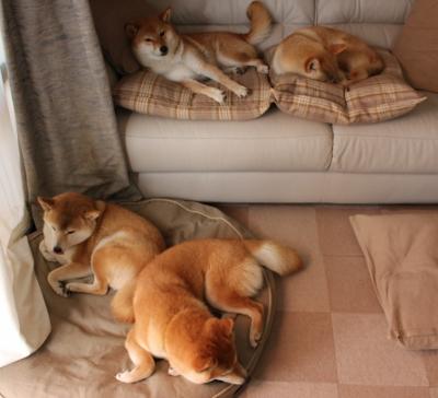 雄鹿击败热火总比分-领先系列赛，雄鹿vs热火第一篇