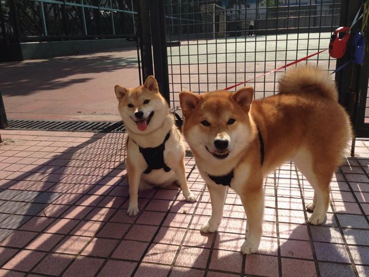 尤文图斯险胜关键战斗，顺利晋级下一轮，尤文图斯2022