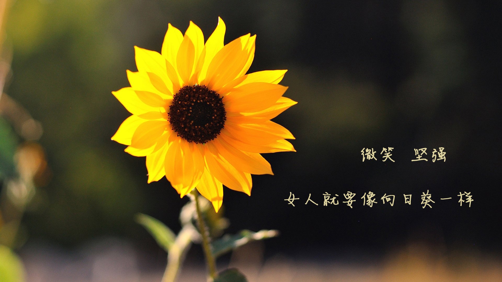 新闻中心揭晓年度创新奖项,创新成果获奖新闻