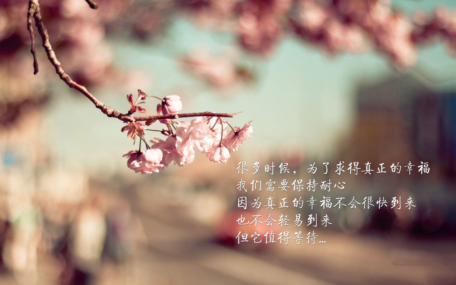 巴尔干半岛劲旅黑山队！欧预赛最新成绩亮眼！，巴尔干半岛山脉