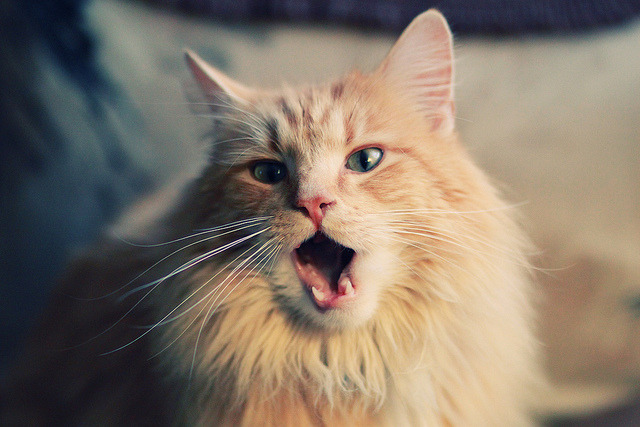 篮球运动员训练负荷科学管理方法，篮球运动员锻炼体能的方法