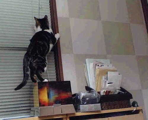 开拓者主教练：防守是球队最大短板，开拓者主教练上场