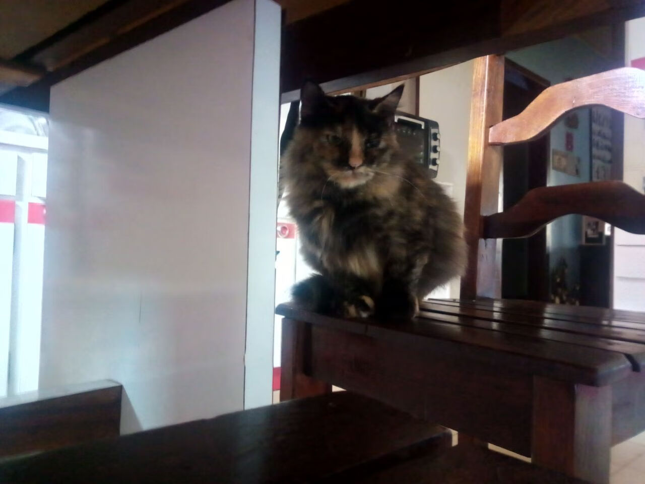 AYX GAMING-意外拳击称重仪器故障引争执，拳击手称重仪式视频