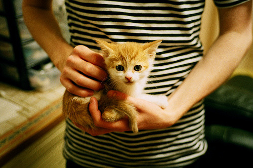 快船力克尼克斯，系列赛焦点战中乔治罚球绝杀，国王力克快船4连胜