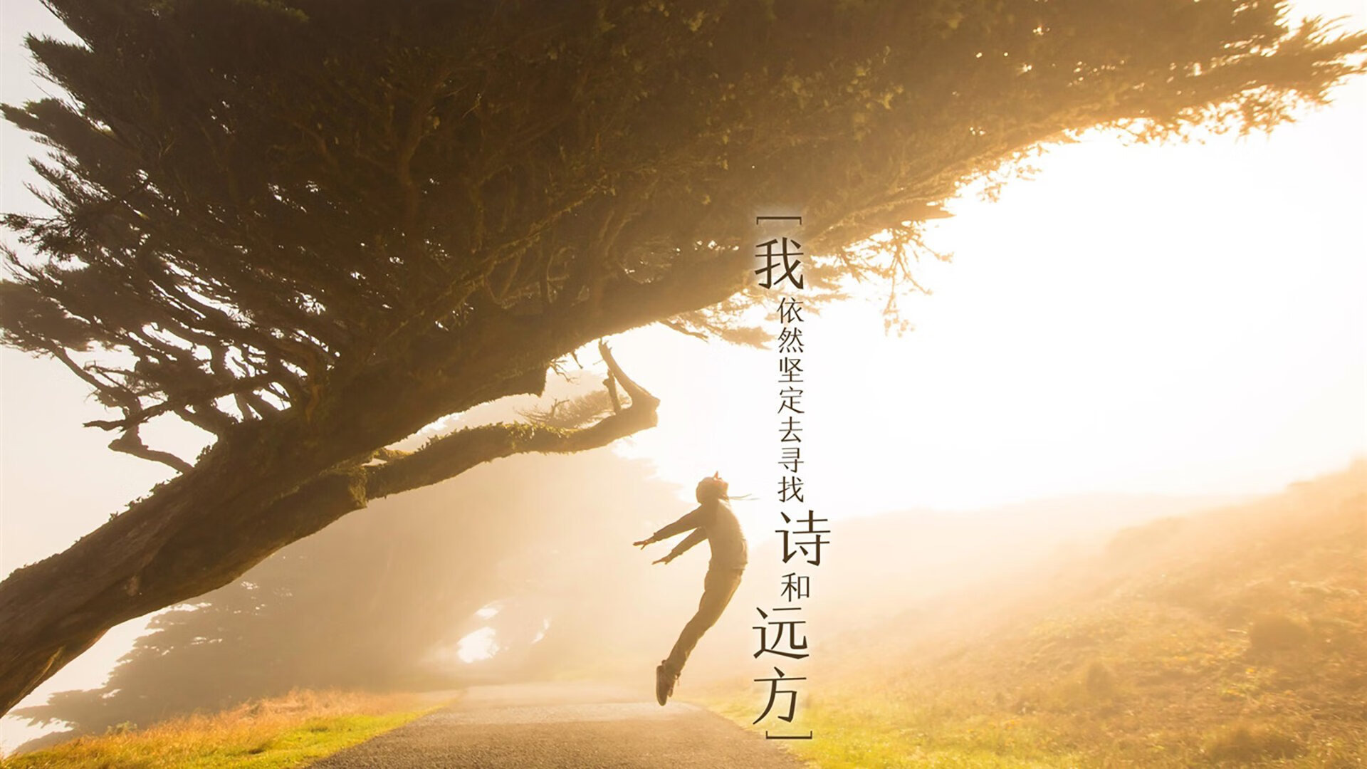 拜仁慕尼黑主场1-1战平勒沃库森，错失三分，拜仁慕尼黑vs勒沃库森比分预测