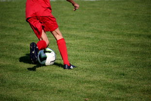 爱游戏体育平台-体育新闻中心发布体育短视频内容运营新策略，体育短视频存在的问题