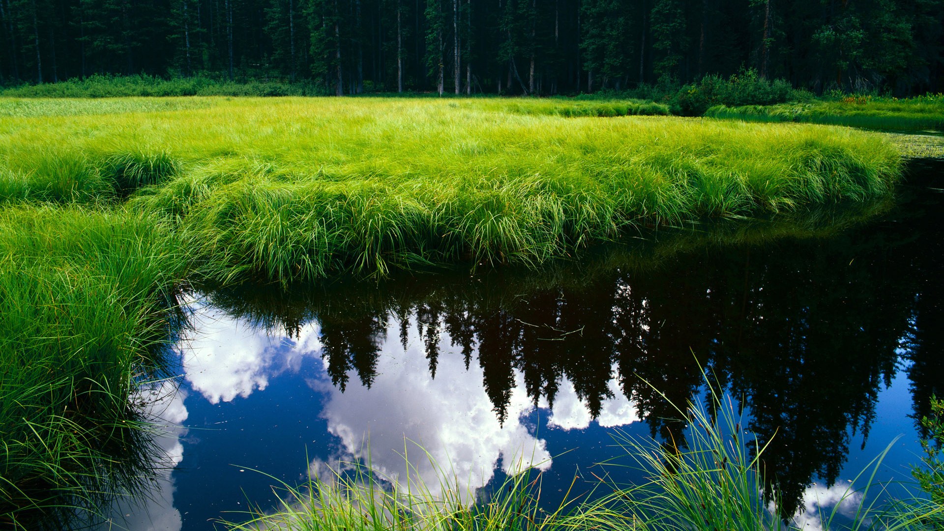 奥运村设施完善提升运动员生活质量，奥运村工作人员