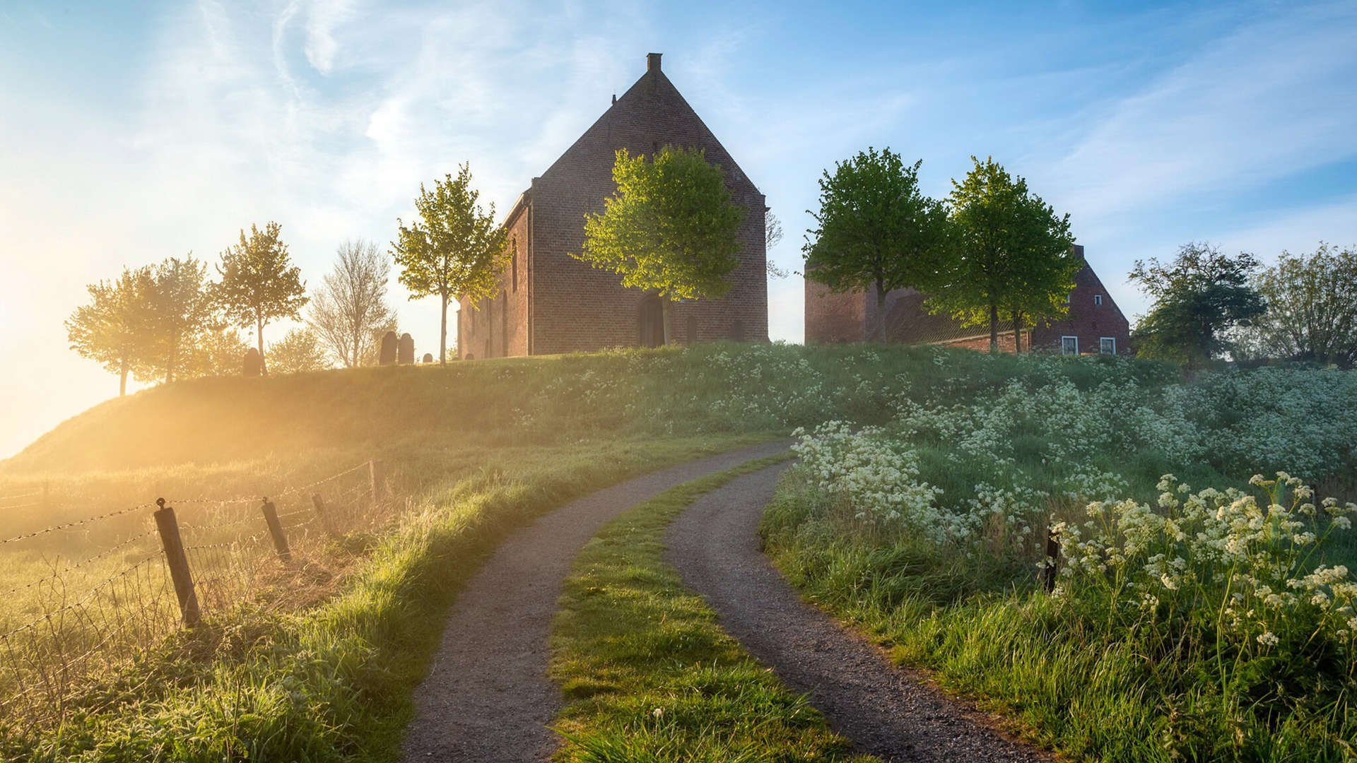 布莱顿控球率领先维持场面优势,布莱顿球队外号