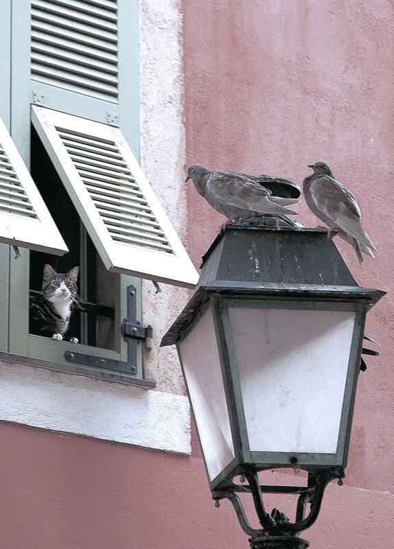 中国足球训练强度与比赛发挥关系，足球技术对比国足