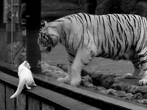 都灵运用背身点结合持续渗透防线