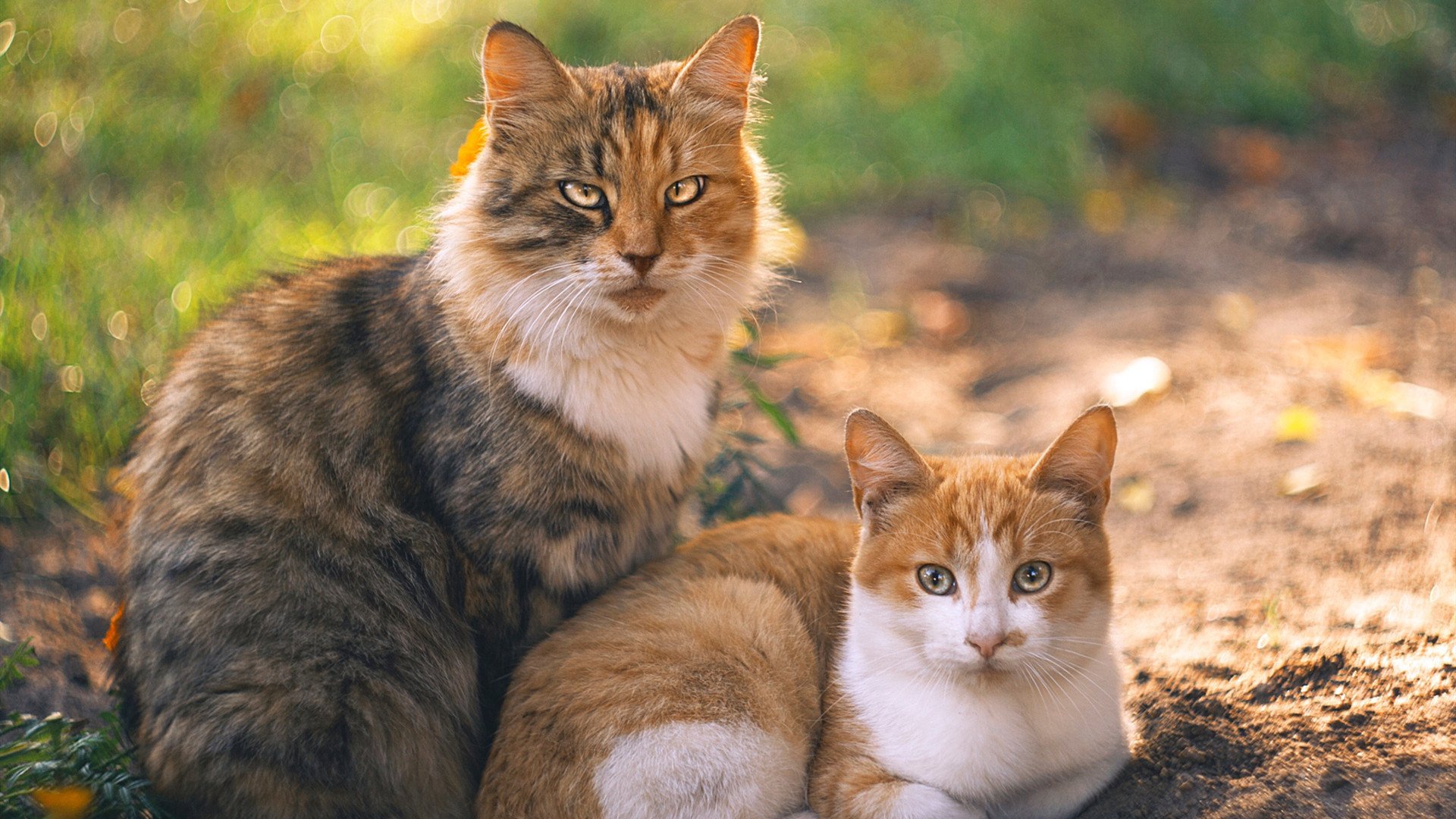 马拉松赛事组织保障参赛安全,马拉松赛事组织保障参赛安全的措施