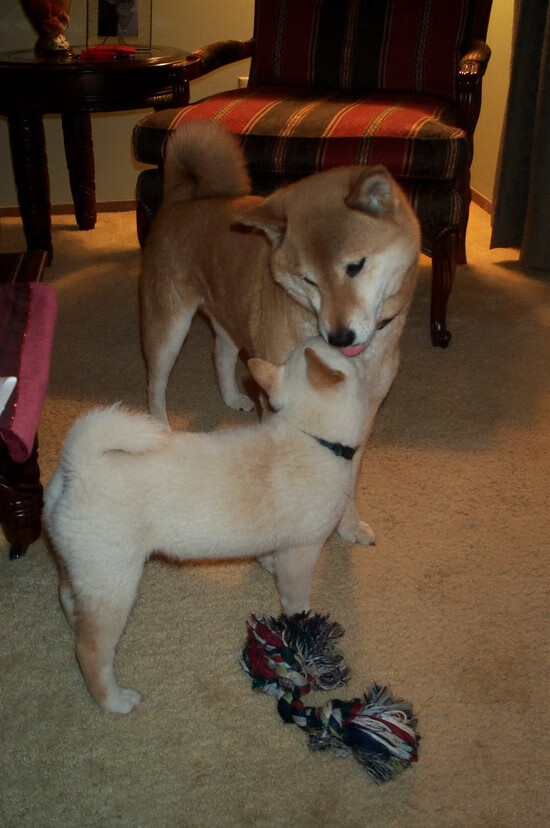 爱游戏电竞官网-体育场馆安全设施完善，体育场馆的安全问题