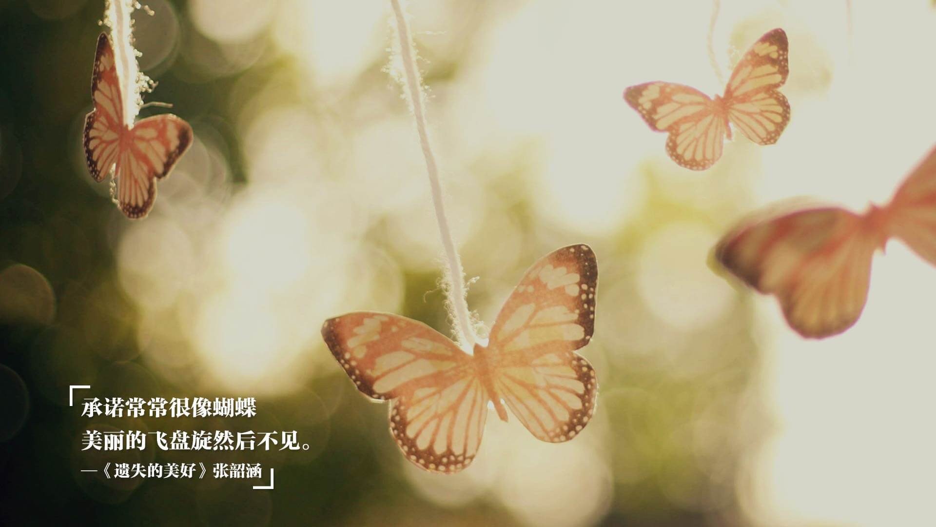 新闻中心及时发布赛事直播平台播出时间及链接，新闻在线直播间