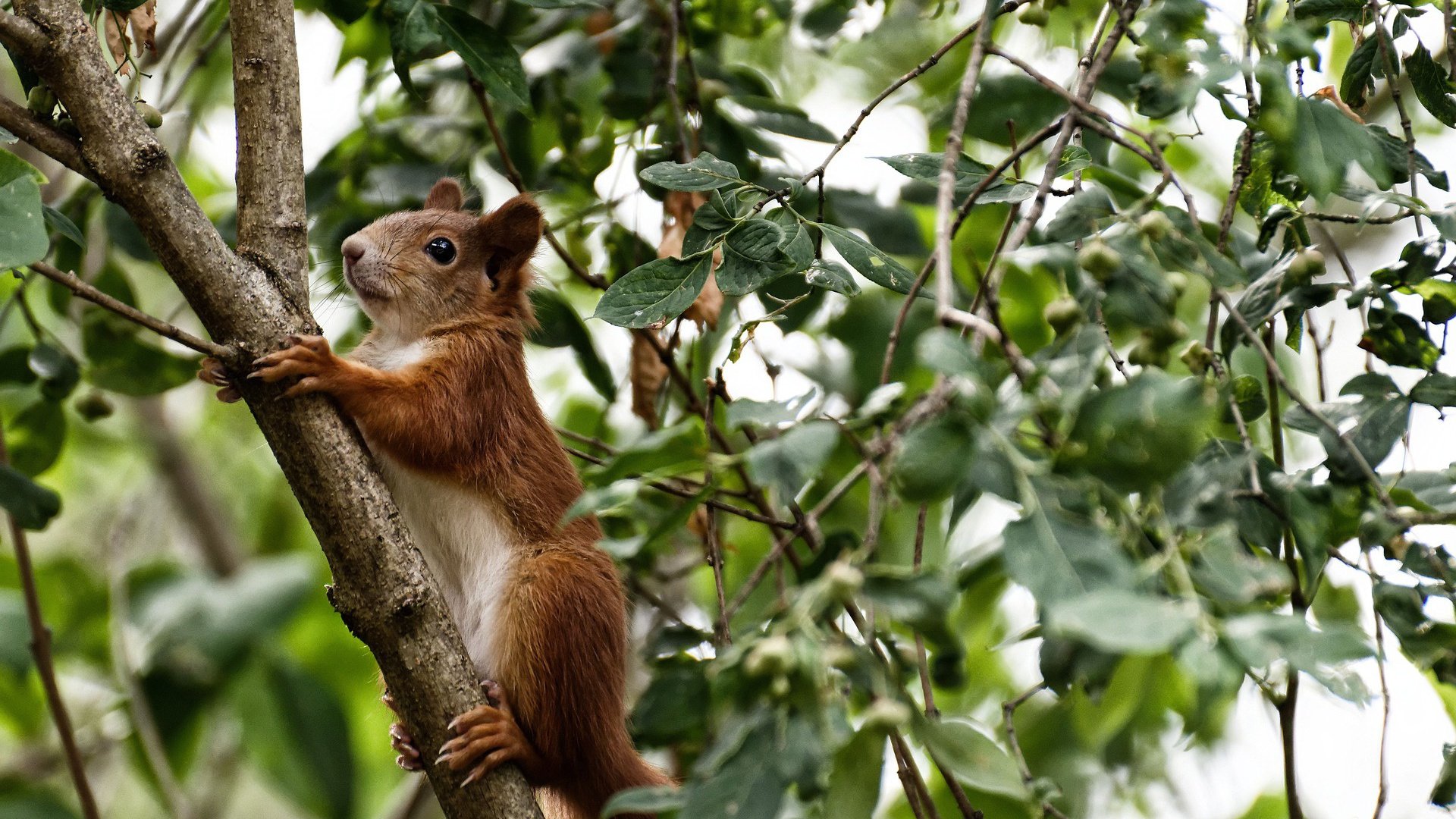 AYX体育官网-焦点战术调整引发讨论，焦点战术调整引发讨论的问题