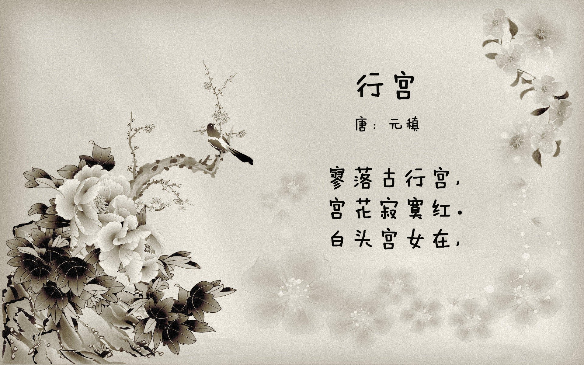 男子蝶泳选手冲击半决赛门槛,男子蝶泳金牌