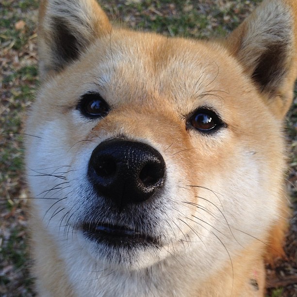 蝶泳新秀摩纳哥崭露头角
